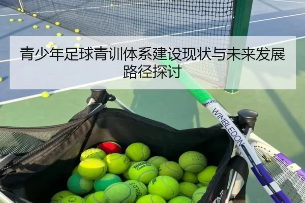 青少年足球青训体系建设现状与未来发展路径探讨